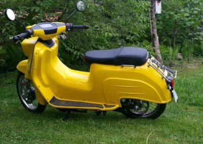 Elektroschwalbe seitlich